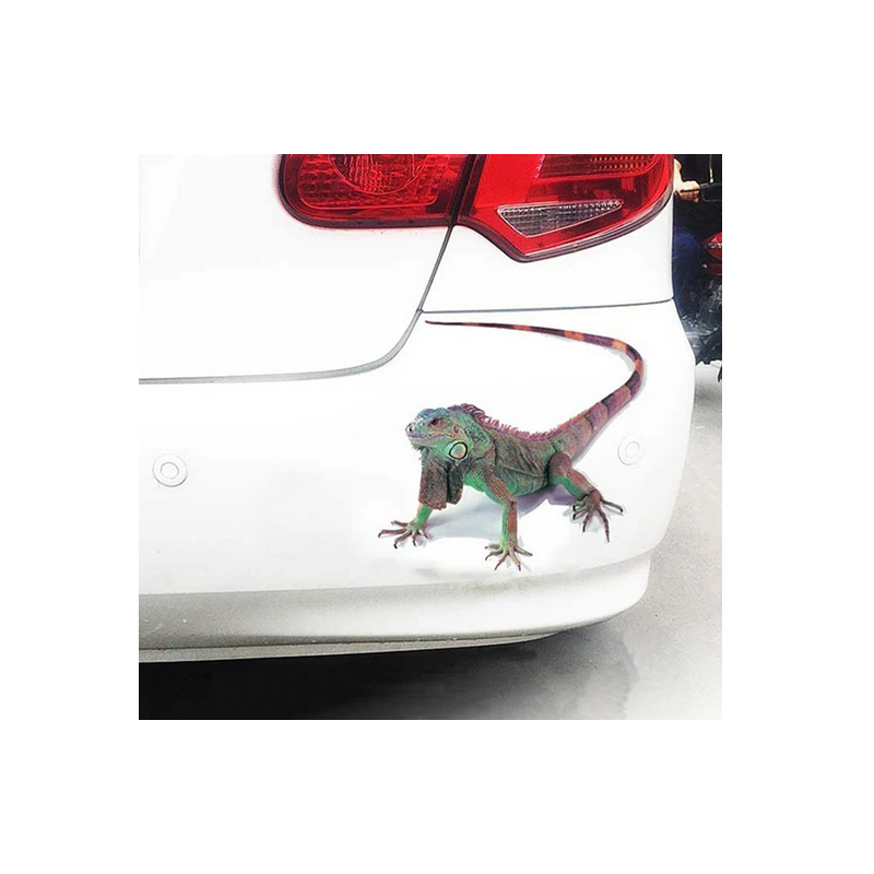 Cars sticker  Lizard
