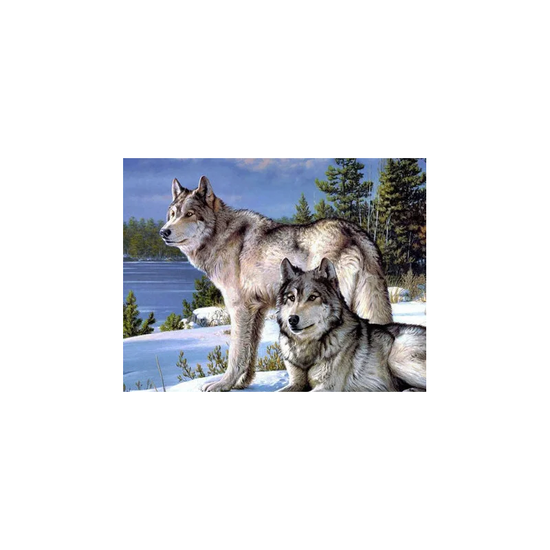 Malování podle čísel-wolf